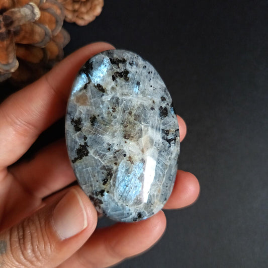 Larvikite, Palm Stone, Oval shape, 59x39x14 mm, 47.2g [PALM-P06]