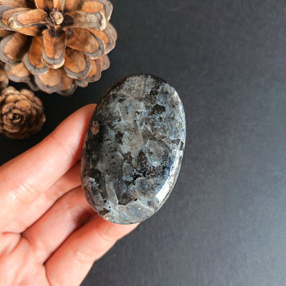 Lavikite, Palm Stone, Oval shape, 60x40x14 mm, 54.7g [PALM-R02]