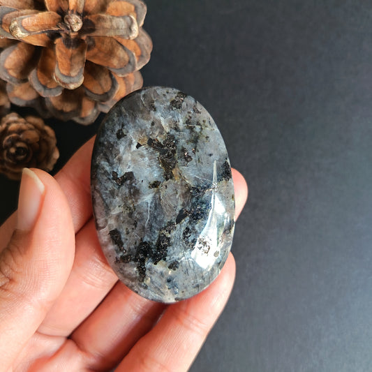 Larvikite, Palm Stone, Oval shape, 60x40x14 mm, 54.7g [PALM-R02]