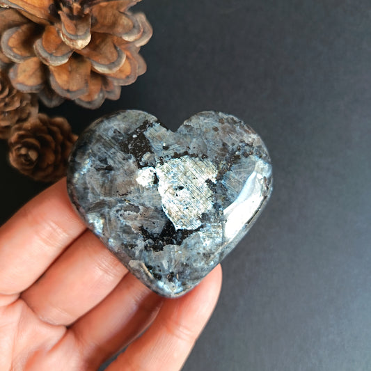 Larvikite, Heart Shape, Palm Stone, 54x59x14 mm, 66g [PALM-R03]