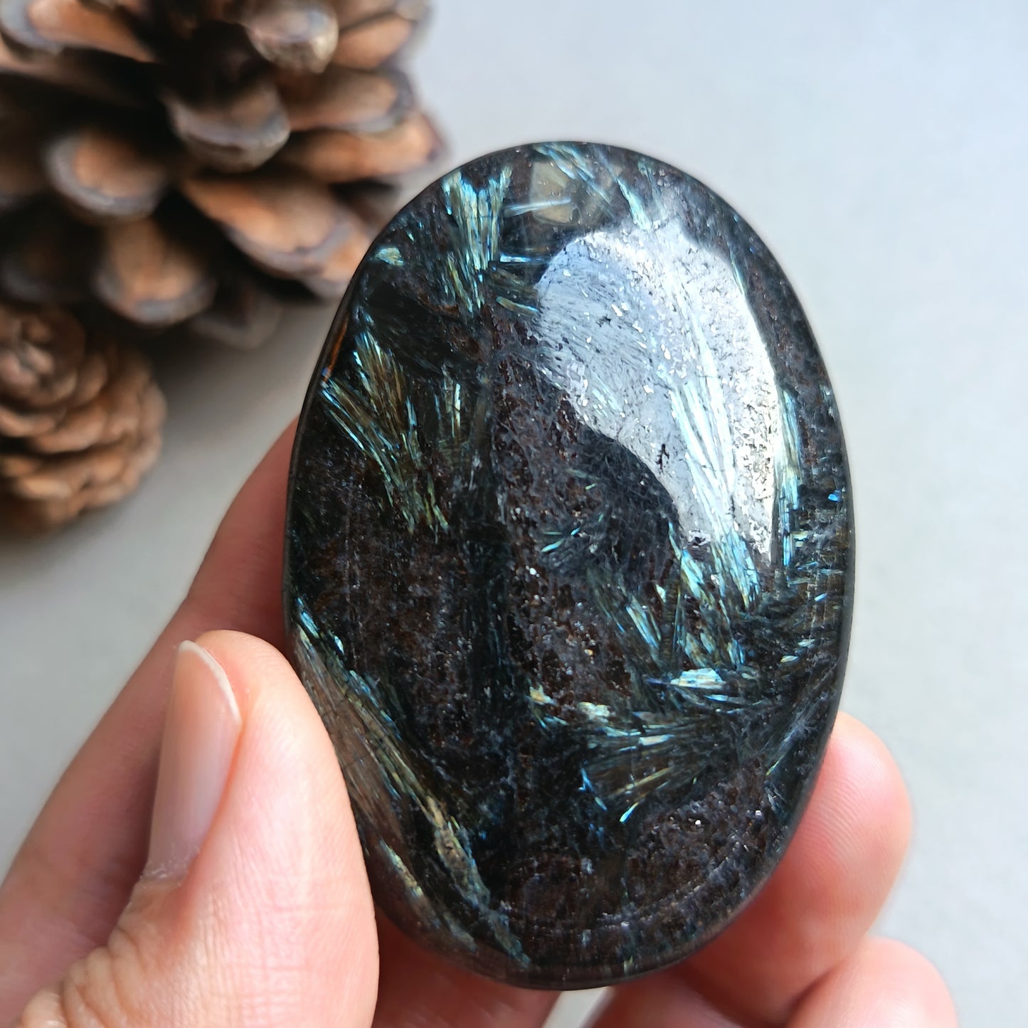 Arfvedsonite, Palm Stone, Oval shape, 60x40x16mm, 70.9g [PALM-Y04]