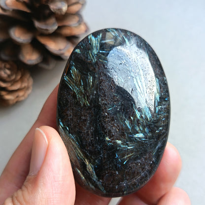 Arfvedsonite, Palm Stone, Oval shape, 60x40x16mm, 70.9g [PALM-Y04]