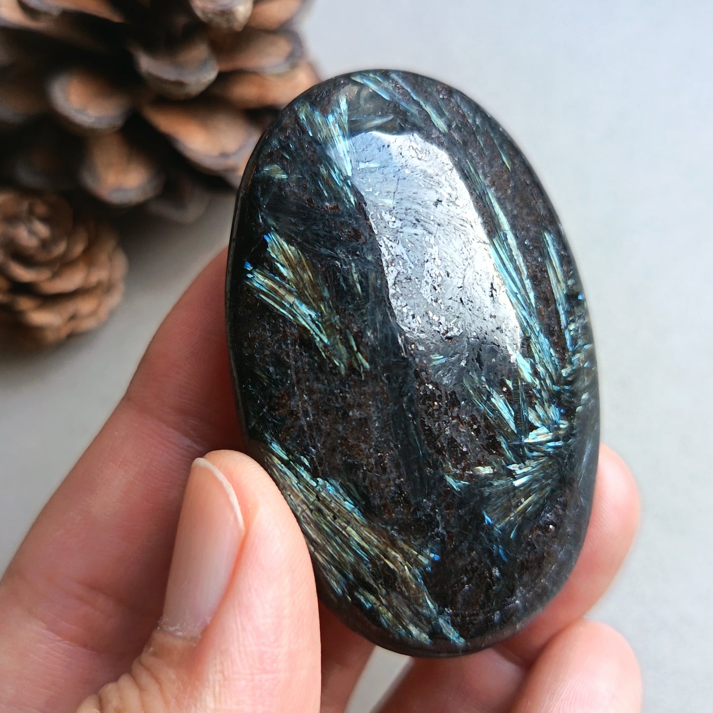 Arfvedsonite, Palm Stone, Oval shape, 60x40x16mm, 70.9g [PALM-Y04]