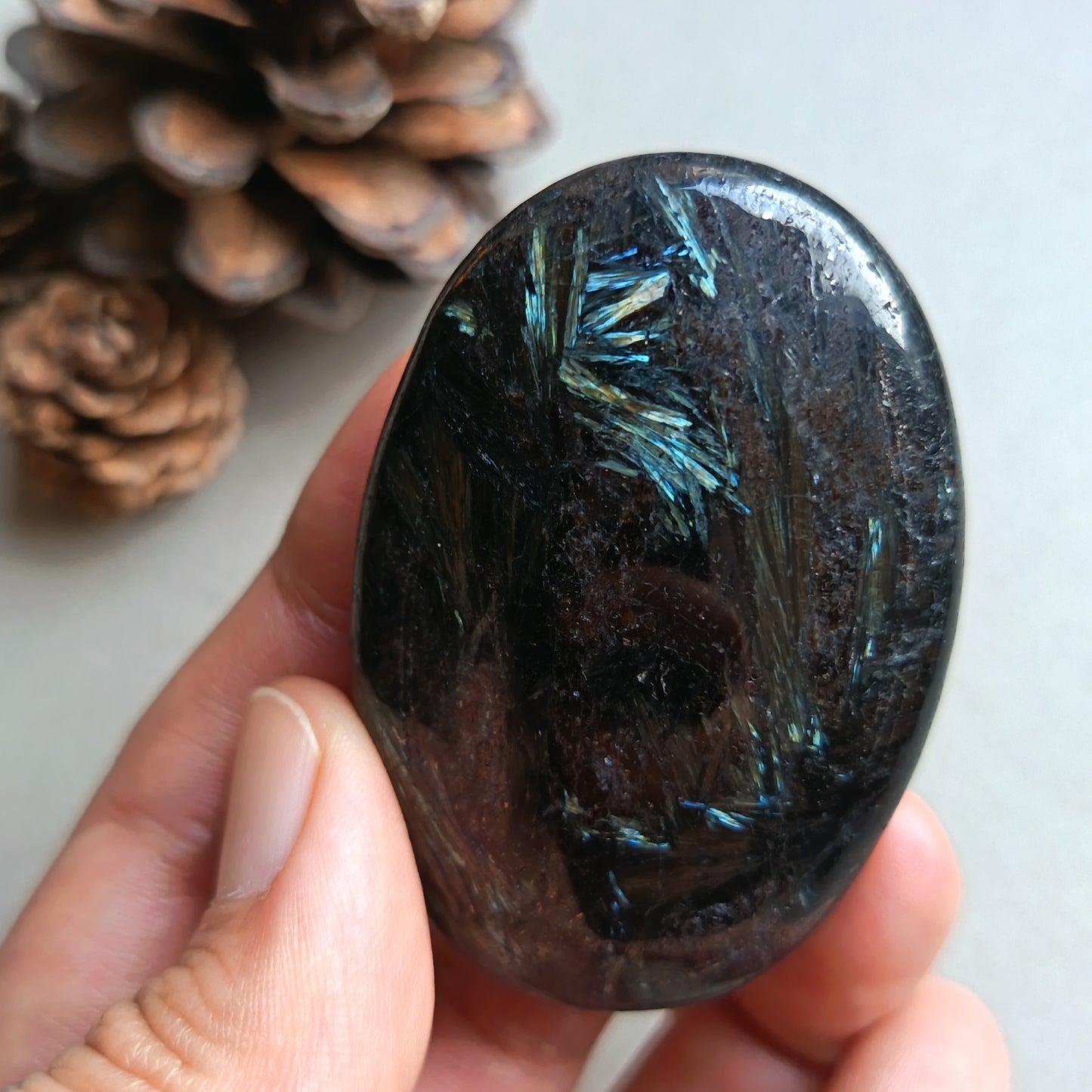 Arfvedsonite, Palm Stone, Oval shape, 60x40x16mm, 70.9g [PALM-Y04]