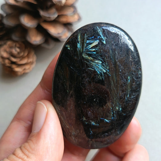 Arfvedsonite, Palm Stone, Oval shape, 60x40x16mm, 70.9g [PALM-Y04]