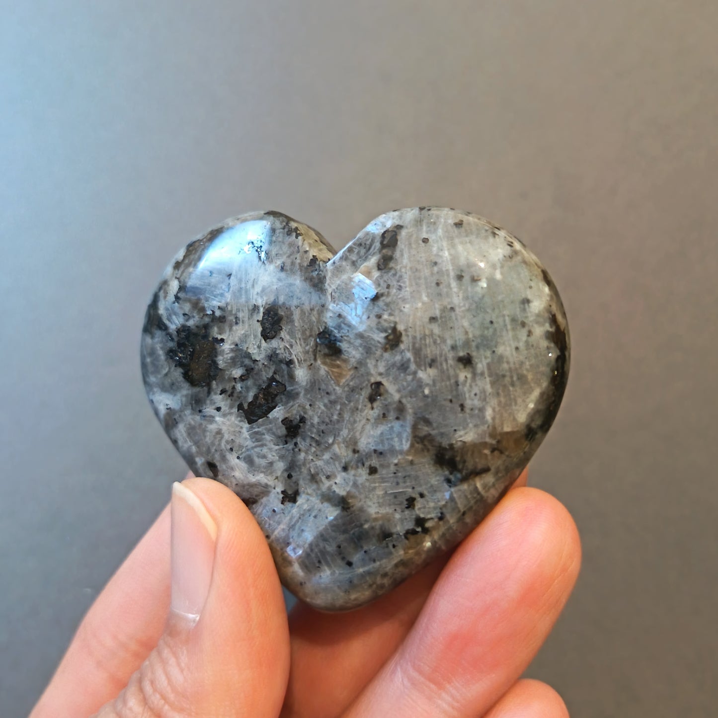 Larvikite, Palm Stone, Heart shape, 51x57x14mm, 64.3g [PALM-Y08]
