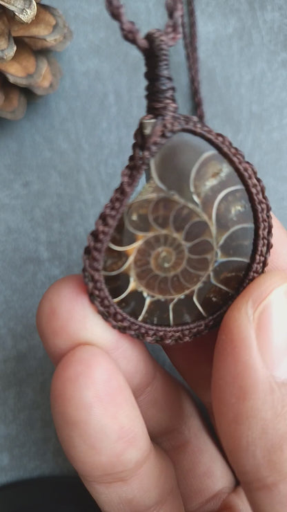 Ammonite Fossil Macrame Necklace | Pendant size approx 5 cm