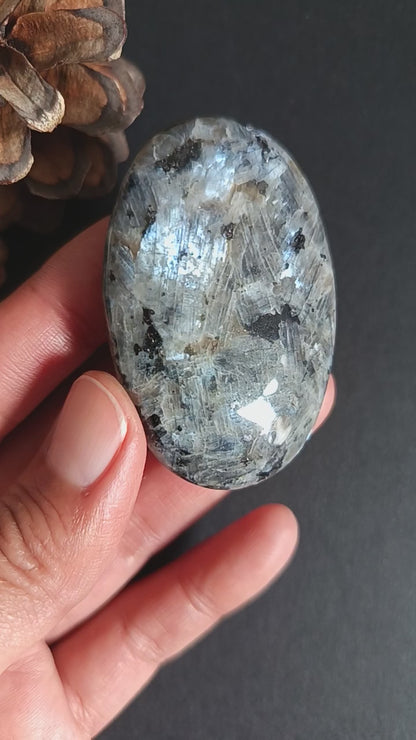 Larvikite, Palm Stone, Oval shape, 60x40x12.5 mm, 51.9g [PALM-S03]