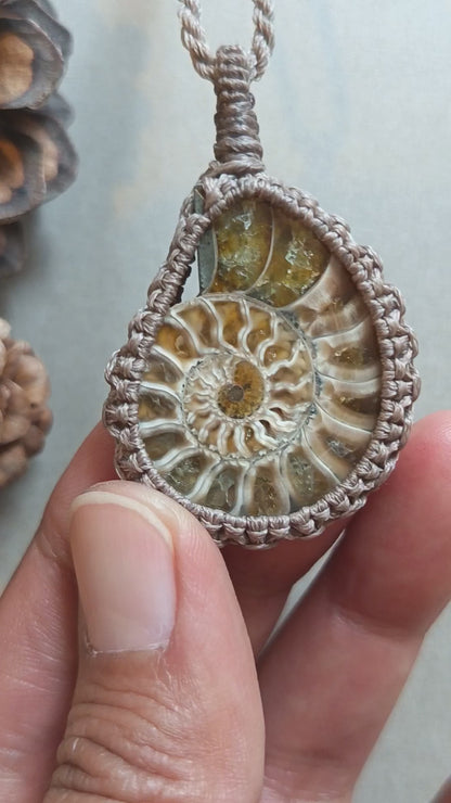 Ammonite Fossil Macrame Necklace | Pendant size 5.2 cm