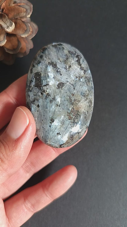 Larvikite, Palm Stone, Oval shape, 60x40x12.5 mm, 51.6g [PALM-S02]