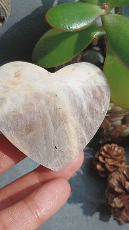 Moonstone Heart Shape, Palm Stone, 51x60x18mm, 83.7g [PALM-E03]