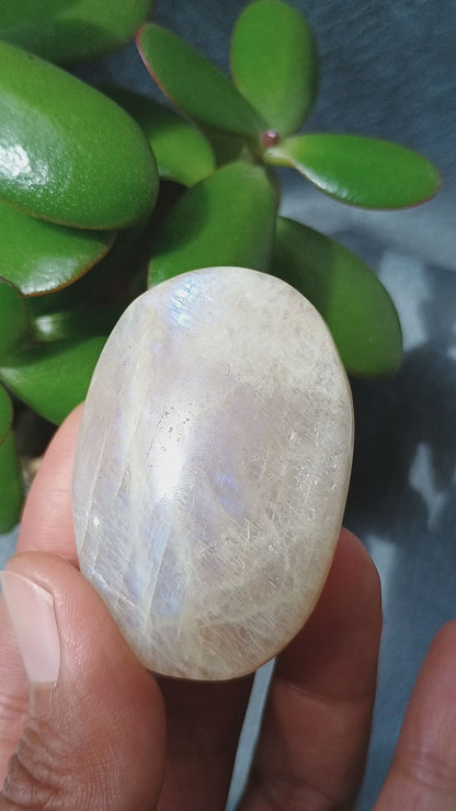 Moonstone Palm Stone, 52x35x22mm, 59.7g [PALM-B01]
