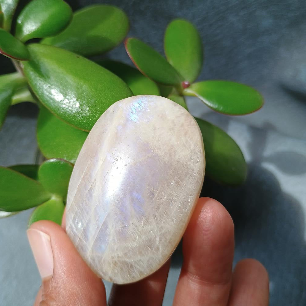 Moonstone Palm Stone, 52x35x22mm, 59.7g [PALM-B01]