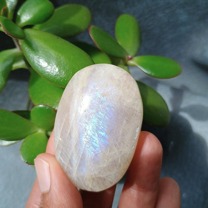 Moonstone Palm Stone, 52x35x22mm, 59.7g [PALM-B01]