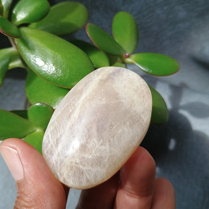 Moonstone Palm Stone, 52x35x22mm, 59.7g [PALM-B01]