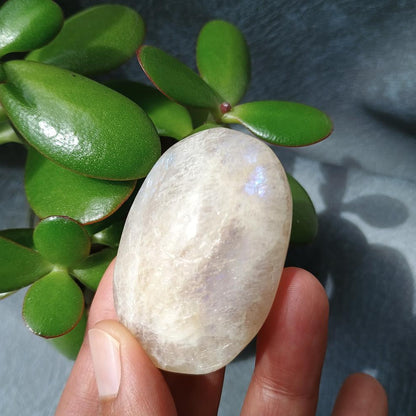 Moonstone Palm Stone, 52x35x22mm, 59.7g [PALM-B01]