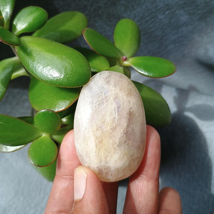Moonstone Palm Stone, 52x35x22mm, 59.7g [PALM-B01]