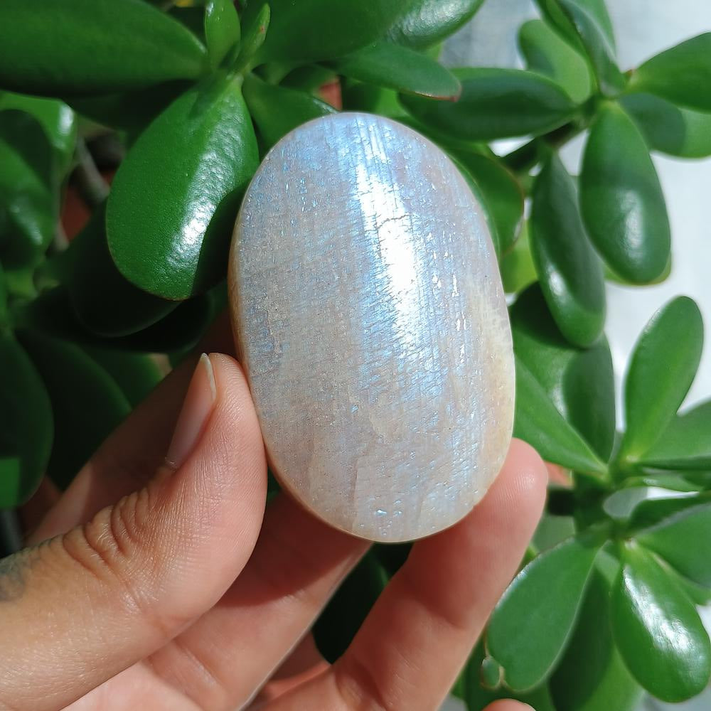 Moonstone Palm Stone, 59x37x26mm, 91.5g [PALM-B02]