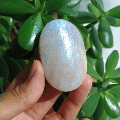 Moonstone Palm Stone, 59x37x26mm, 91.5g [PALM-B02]