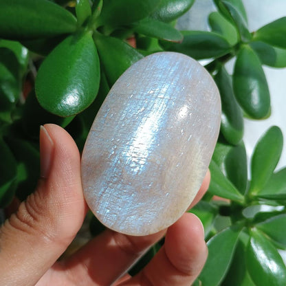 Moonstone Palm Stone, 59x37x26mm, 91.5g [PALM-B02]