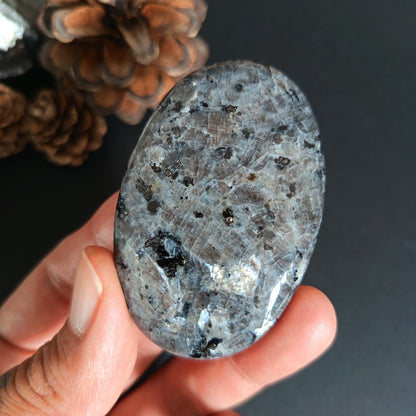 Larvikite, Palm Stone, Oval shape, 60x40x12 mm, 48.8g [PALM-S01]