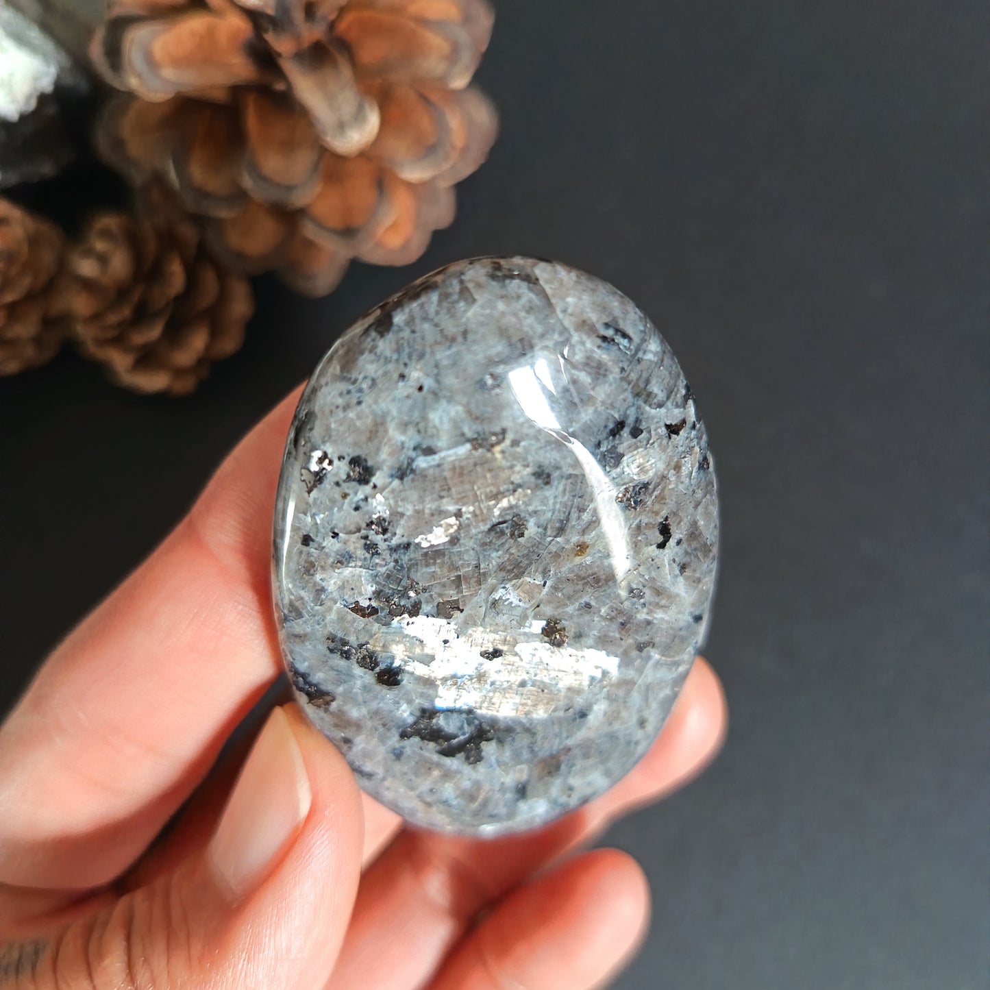 Larvikite, Palm Stone, Oval shape, 60x40x12 mm, 48.8g [PALM-S01]