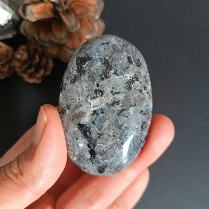 Larvikite, Palm Stone, Oval shape, 60x40x12 mm, 48.8g [PALM-S01]