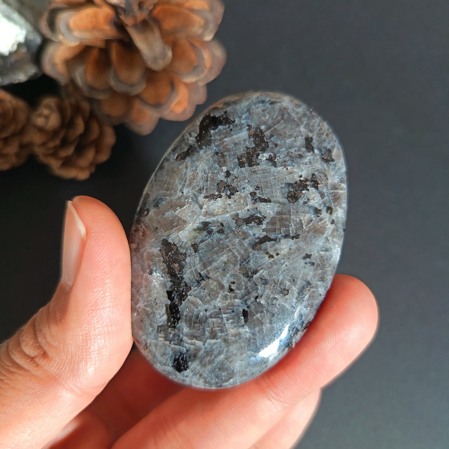 Larvikite, Palm Stone, Oval shape, 60x40x12 mm, 48.8g [PALM-S01]