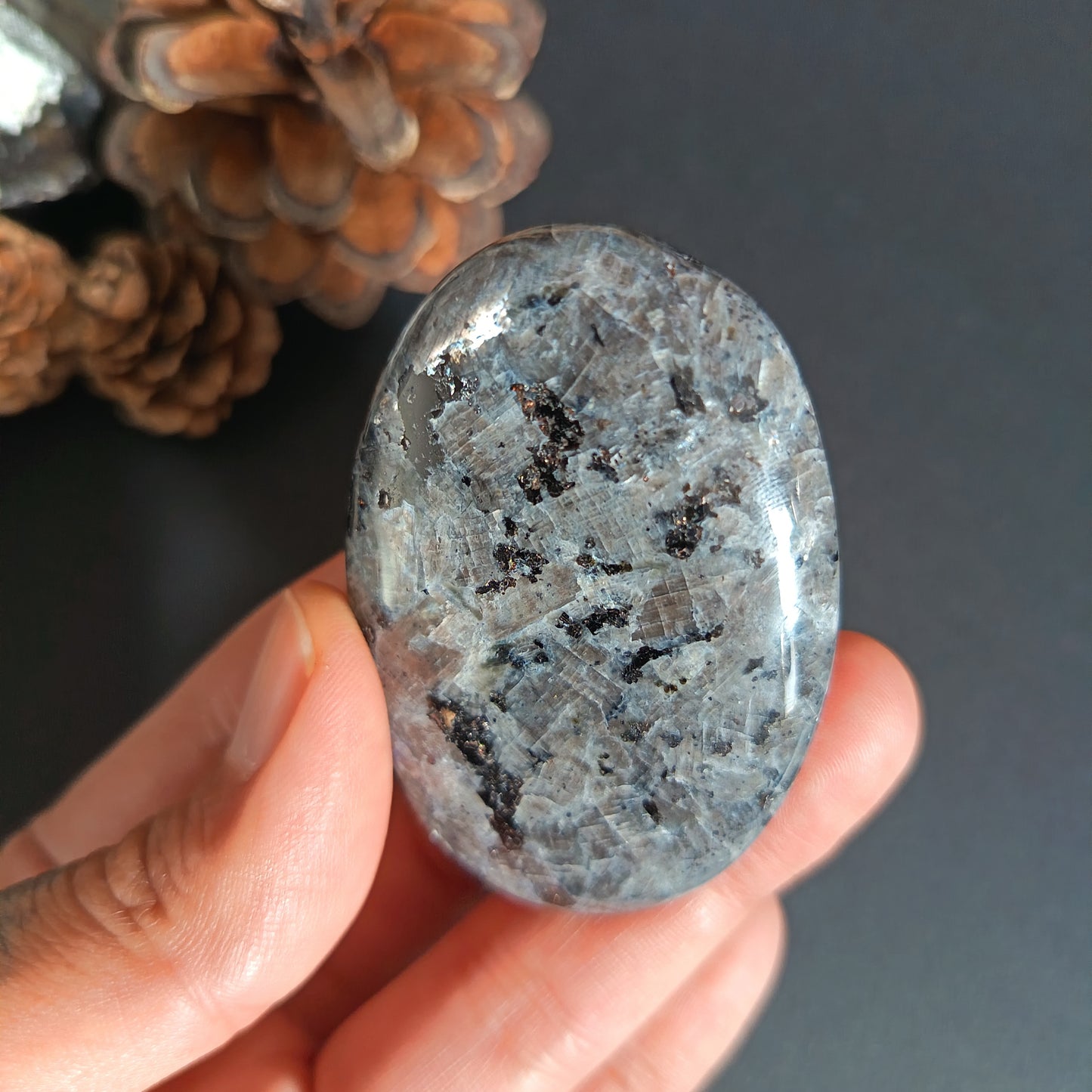 Larvikite, Palm Stone, Oval shape, 60x40x12 mm, 48.8g [PALM-S01]