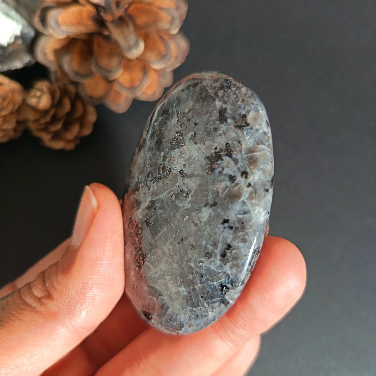 Larvikite, Palm Stone, Oval shape, 60x40x12 mm, 48.8g [PALM-S01]