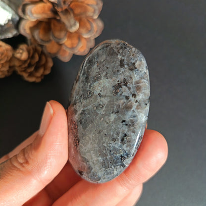 Larvikite, Palm Stone, Oval shape, 60x40x12 mm, 48.8g [PALM-S01]