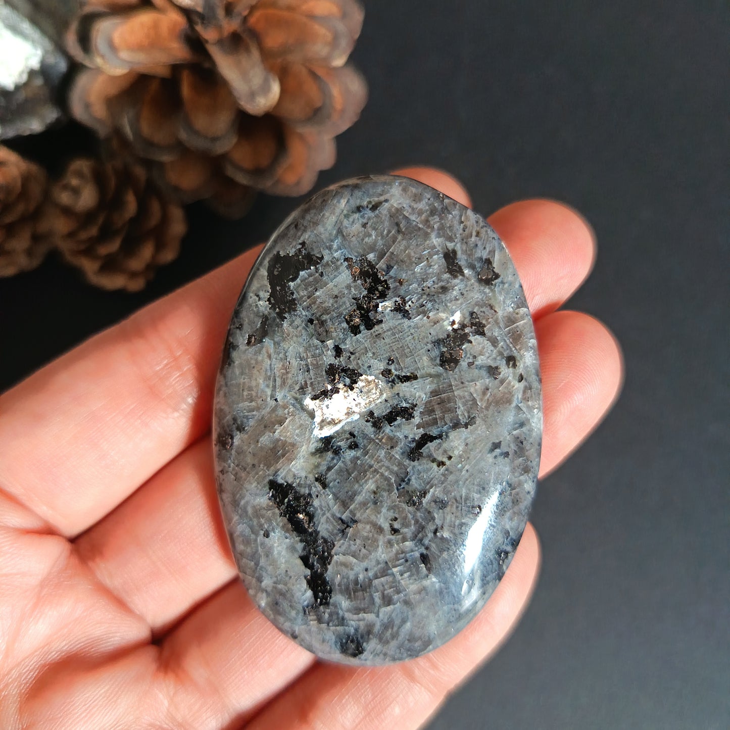 Larvikite, Palm Stone, Oval shape, 60x40x12 mm, 48.8g [PALM-S01]