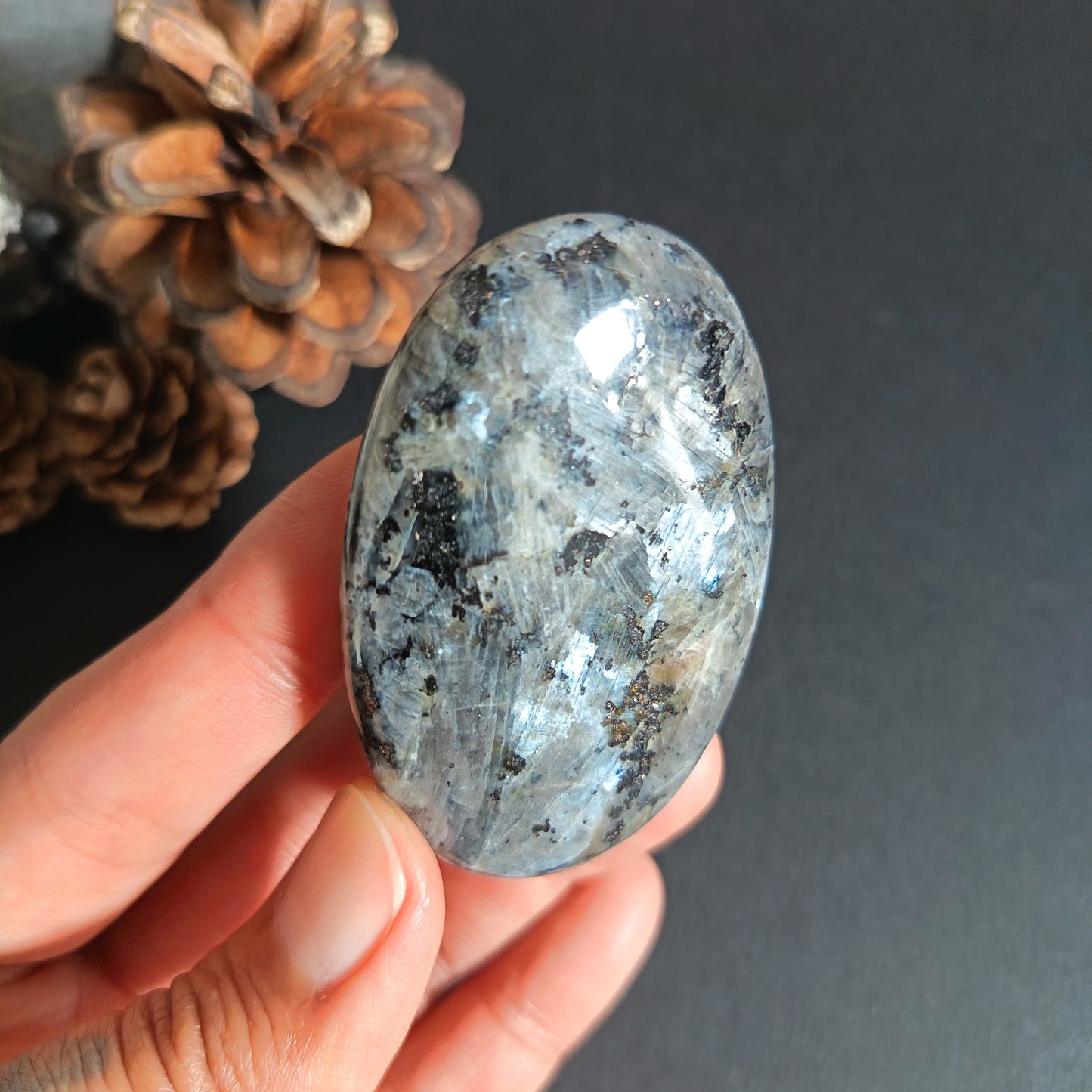 Larvikite, Palm Stone, Oval shape, 60x40x12.5 mm, 51.6g [PALM-S02]