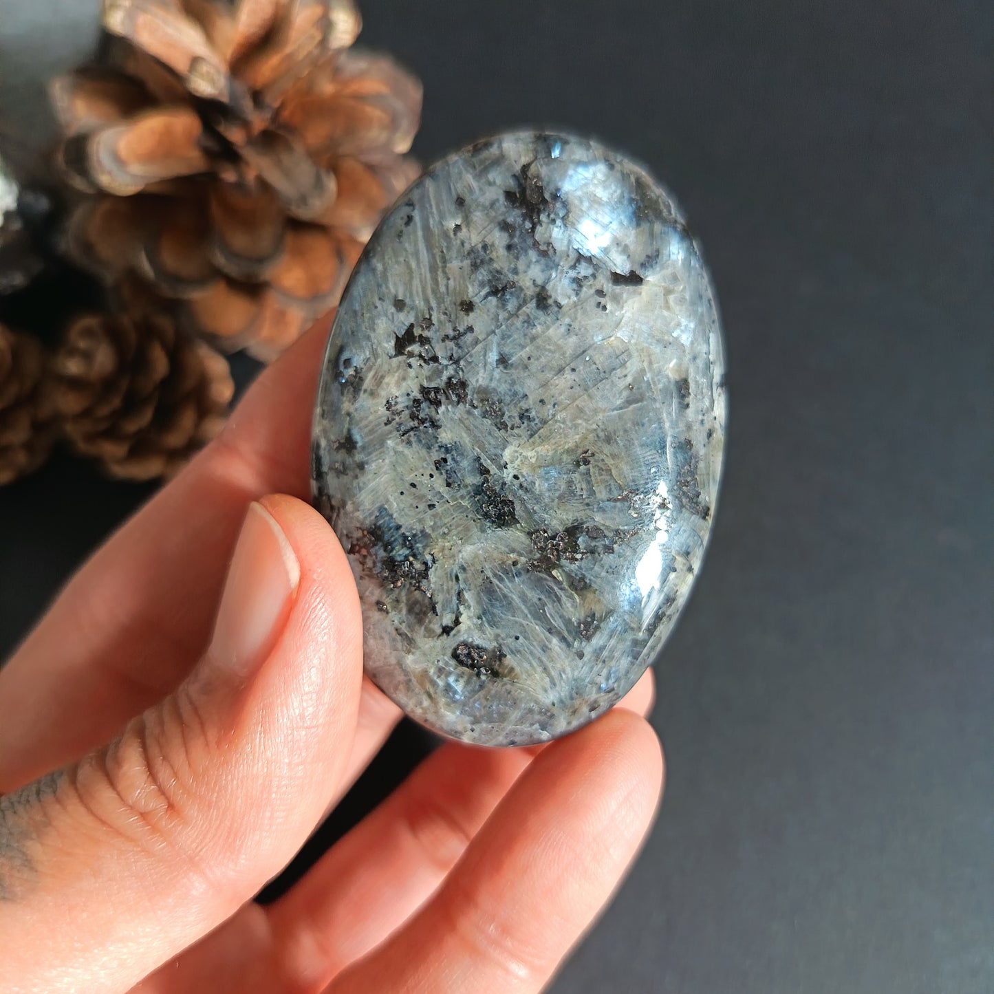 Larvikite, Palm Stone, Oval shape, 60x40x12.5 mm, 51.6g [PALM-S02]