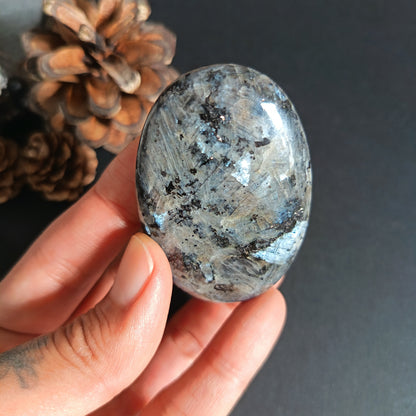 Larvikite, Palm Stone, Oval shape, 60x40x12.5 mm, 51.6g [PALM-S02]