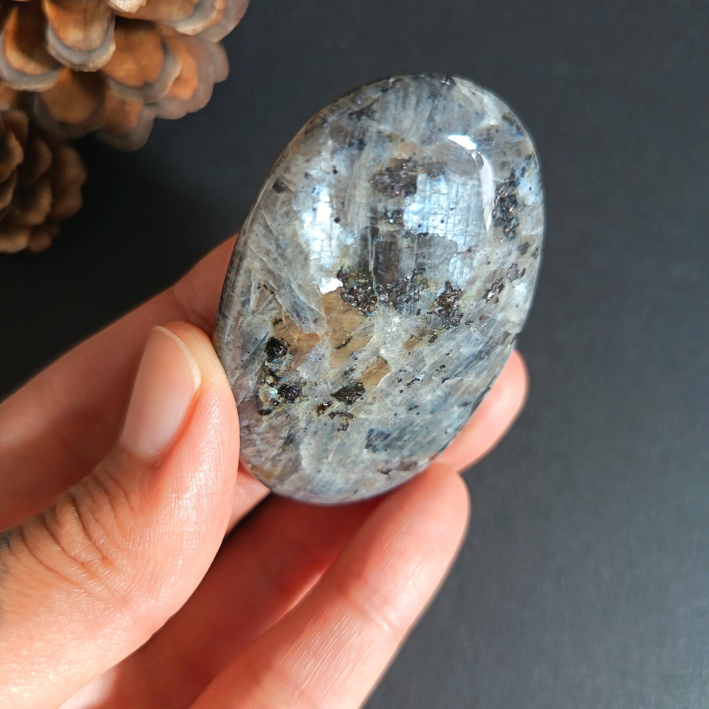 Larvikite, Palm Stone, Oval shape, 60x40x12.5 mm, 51.9g [PALM-S03]