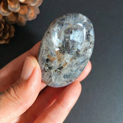 Larvikite, Palm Stone, Oval shape, 60x40x12.5 mm, 51.9g [PALM-S03]