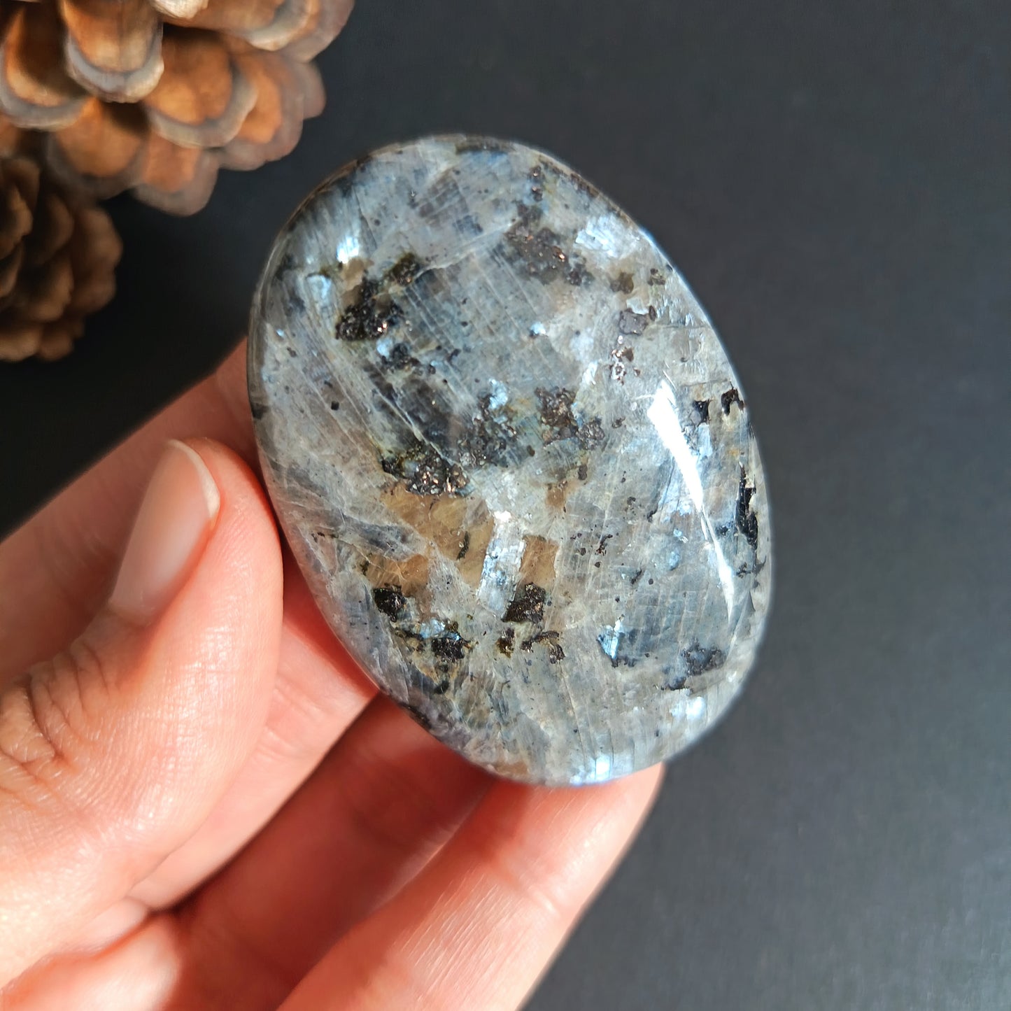 Larvikite, Palm Stone, Oval shape, 60x40x12.5 mm, 51.9g [PALM-S03]