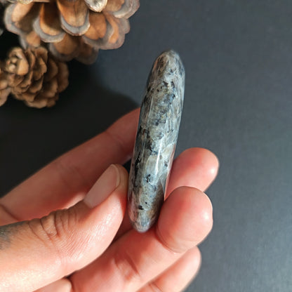 Larvikite, Palm Stone, Oval shape, 60x40x12.5 mm, 51.9g [PALM-S03]
