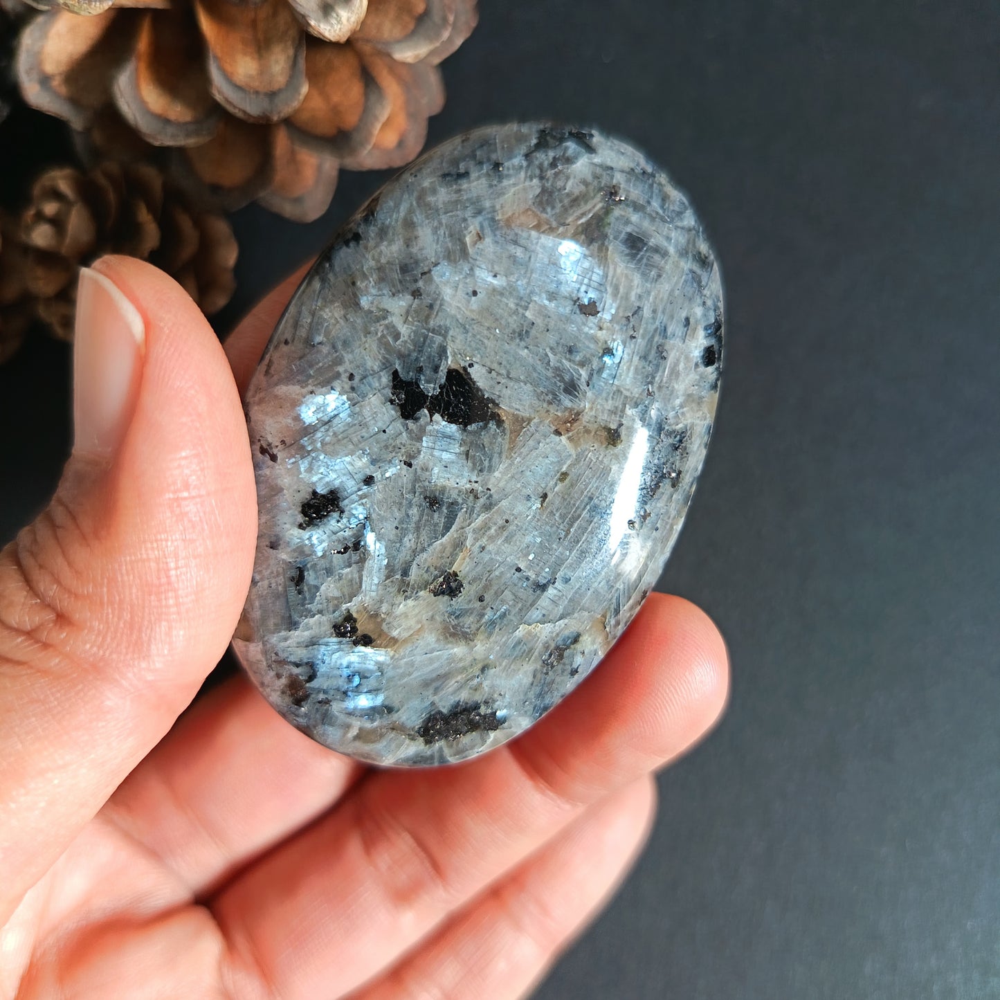 Larvikite, Palm Stone, Oval shape, 60x40x12.5 mm, 51.9g [PALM-S03]