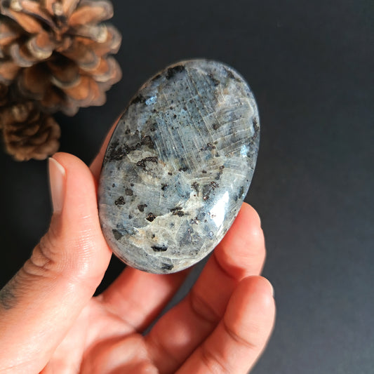 Larvikite, Palm Stone, Oval shape, 59x39x16 mm, 54.1g [PALM-S05]