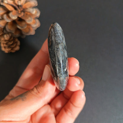 Lavikite, Palm Stone, Oval shape, 60x40x16 mm, 57.6g [PALM-S07]