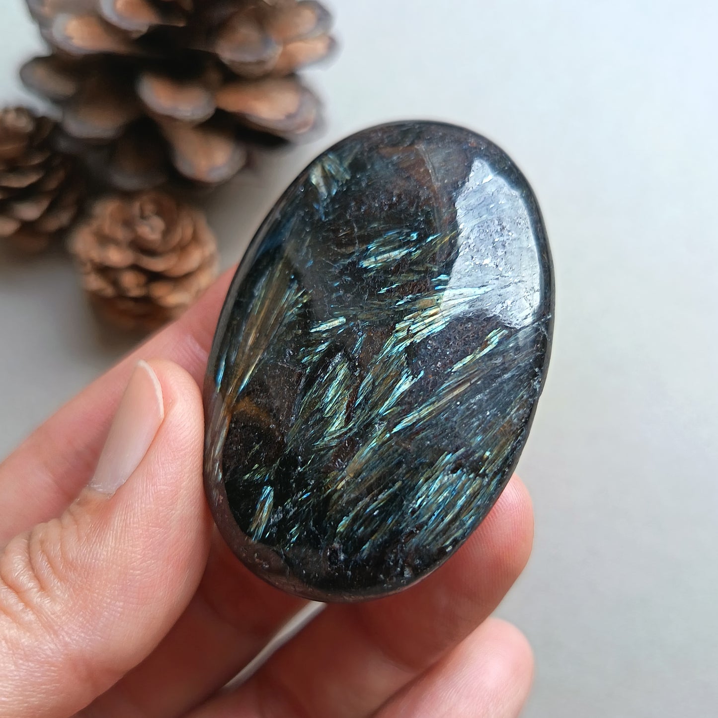 Arfvedsonite, Palm Stone, Oval shape, 59x39x14mm, 65.3g [PALM-Y03]