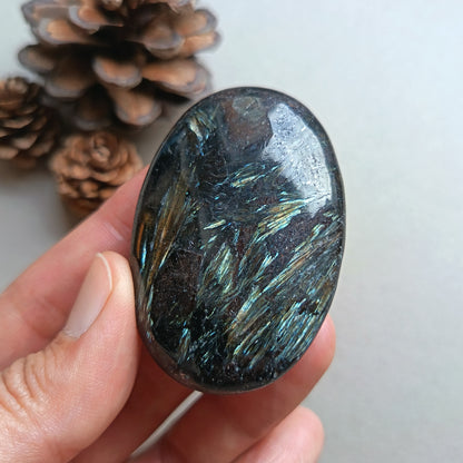 Arfvedsonite, Palm Stone, Oval shape, 59x39x14mm, 65.3g [PALM-Y03]