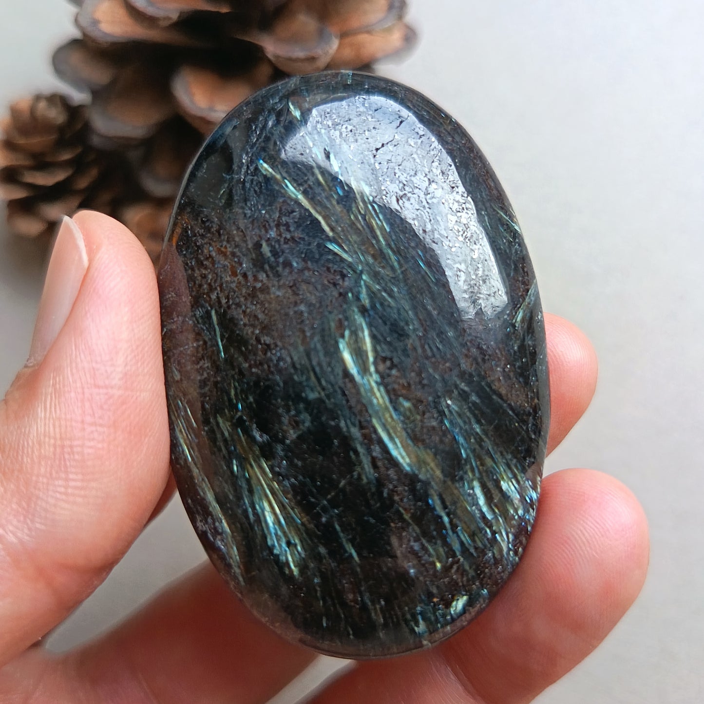 Arfvedsonite, Palm Stone, Oval shape, 59x39x14mm, 65.3g [PALM-Y03]