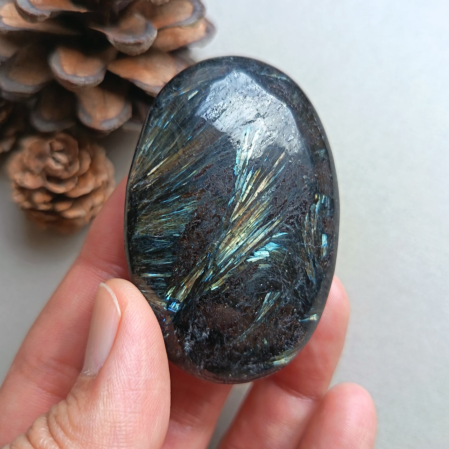 Arfvedsonite, Palm Stone, Oval shape, 60x40x15mm, 71.8g [PALM-Y05]