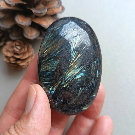 Arfvedsonite, Palm Stone, Oval shape, 60x40x15mm, 71.8g [PALM-Y05]