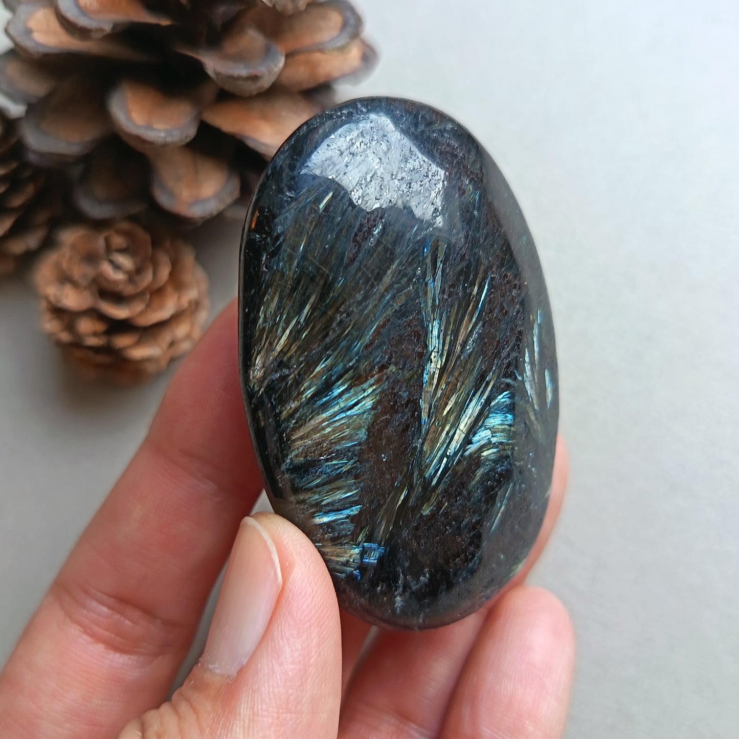 Arfvedsonite, Palm Stone, Oval shape, 60x40x15mm, 71.8g [PALM-Y05]