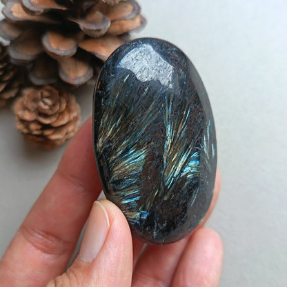 Arfvedsonite, Palm Stone, Oval shape, 60x40x15mm, 71.8g [PALM-Y05]
