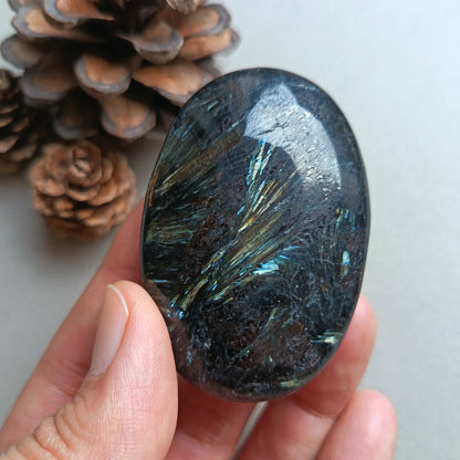 Arfvedsonite, Palm Stone, Oval shape, 60x40x15mm, 71.8g [PALM-Y05]